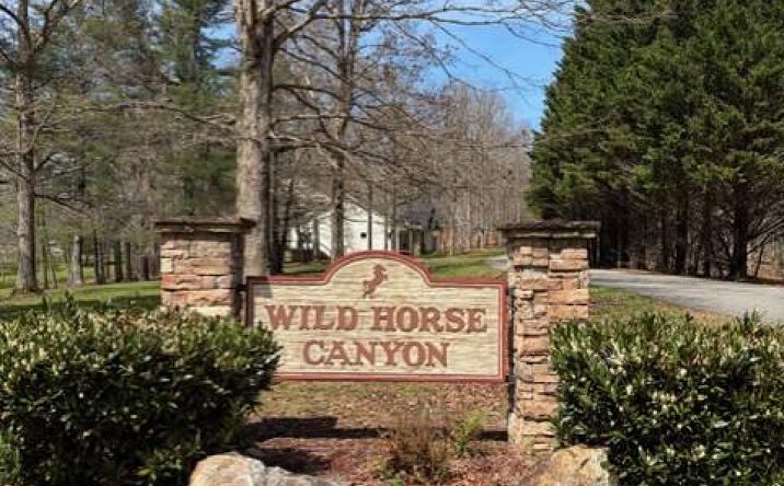Pictures of Land property located at Brumby Run, Blairsville, GA 30512 for sales - image #1