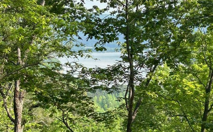 Pictures of Land property located at 324 Adair Drive, Ranger, GA 30734 for sales - image #1