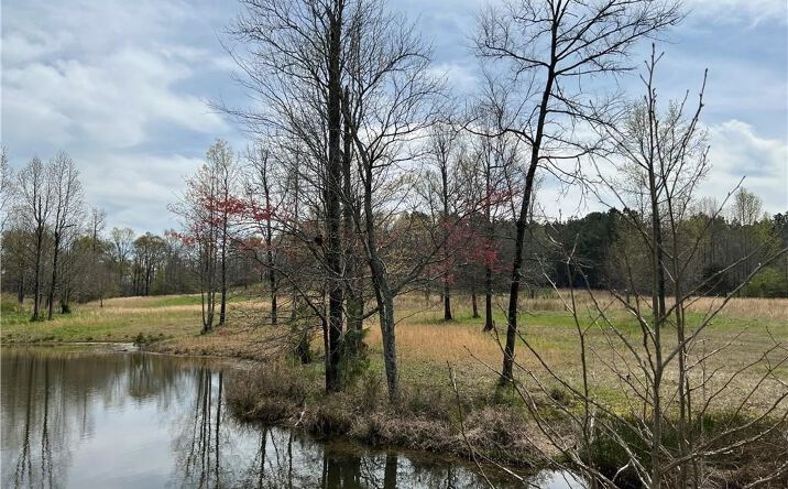 0 Herrington Bend Road, Calhoun