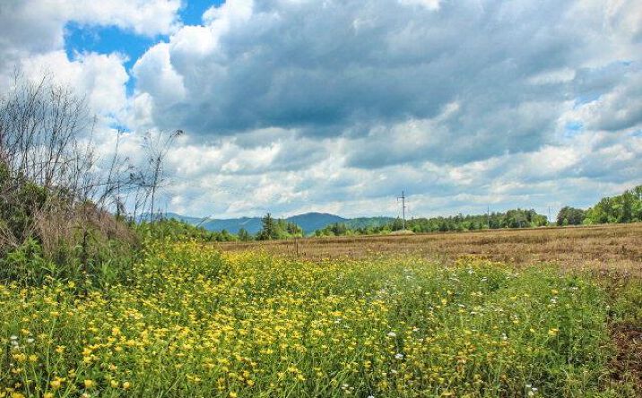 Pictures of Land property located at 00 Hwy 64 E, Murphy, NC 28906 for sales - image #1