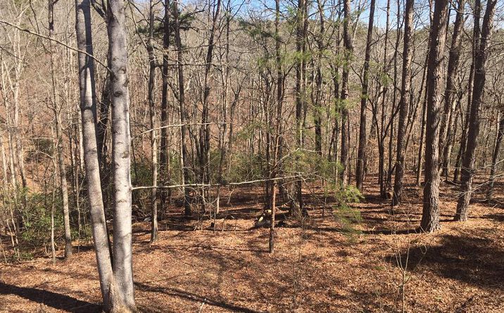 Pictures of Land property located at Lot 10 Olivia Lane, Ball Ground, GA 30107 for sales - image #1