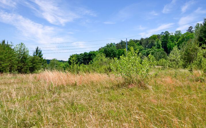 Tails Creek Road, Ellijay
