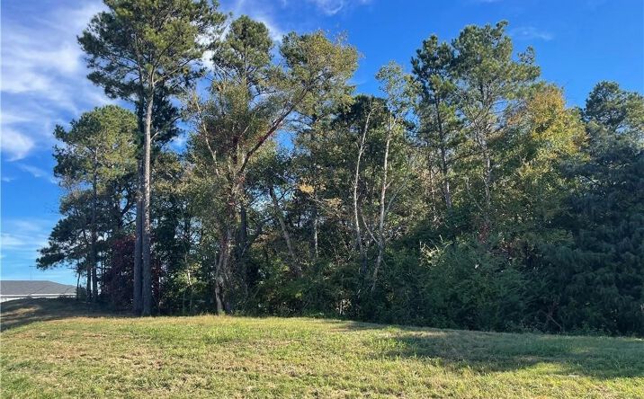 0 Cassville White Road, Cartersville
