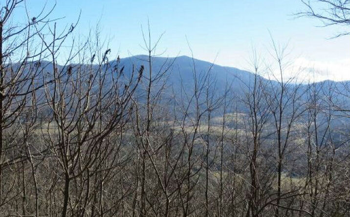 Dan Knob, Hayesville