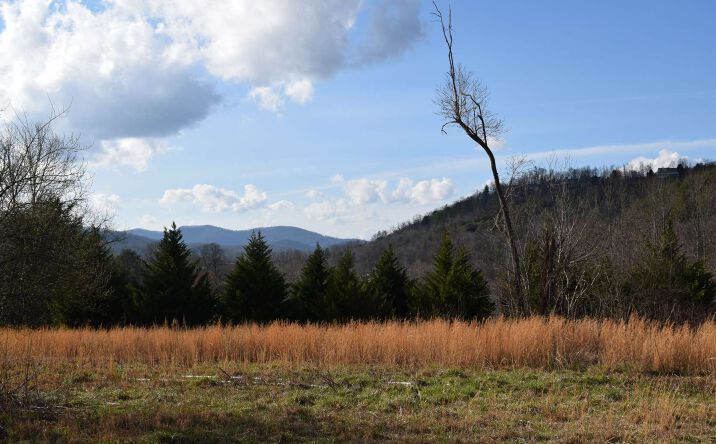LOT 2 Dune Road, Hiawassee
