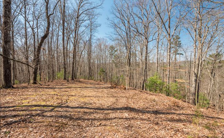 53 Star Creek Drive, Morganton