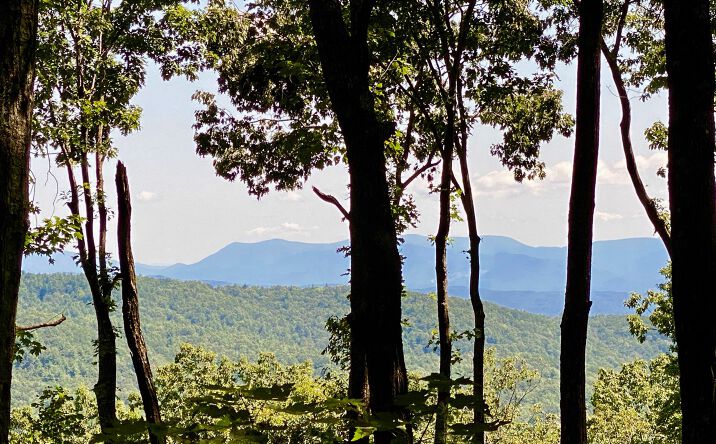 LT23 Utana Bluff Trails, Ellijay