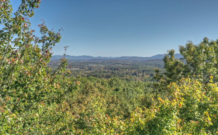 LT 41 Highland Circle, Blue Ridge