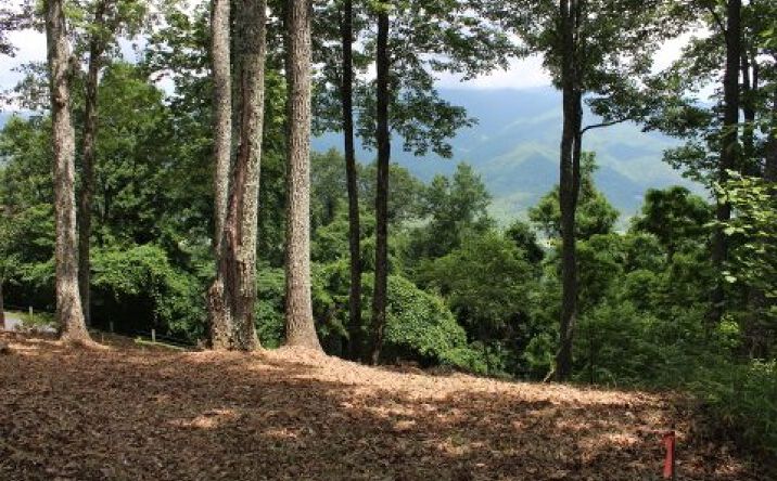 36 Double Knobs Drive, Hayesville