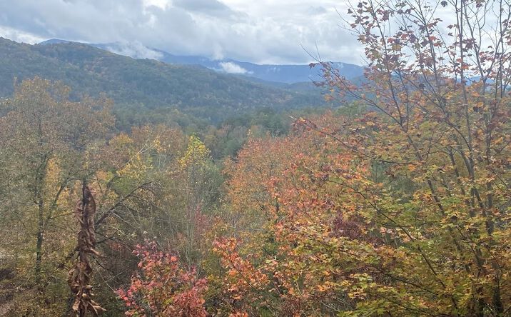 LT467 South Dream Catcher, Blue Ridge