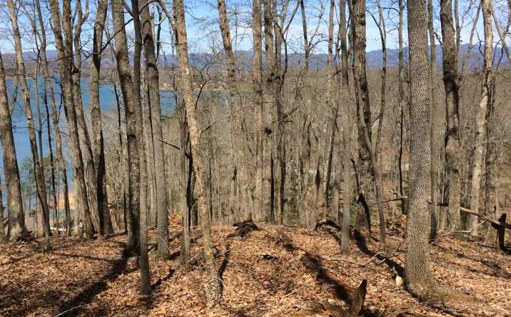 LT 15 Sutton Cove, Hiawassee