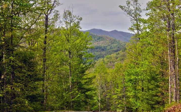Slate Stone, Hayesville