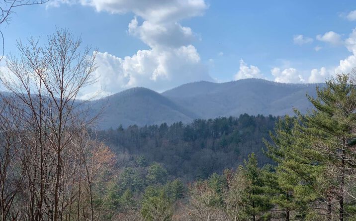 46-48 Gobbler Knob Drive, Ellijay