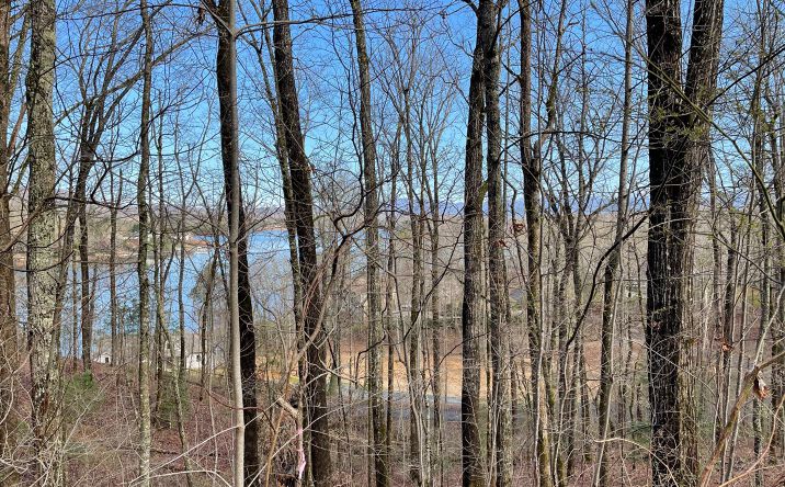 LT 18 Sutton Cove, Hiawassee