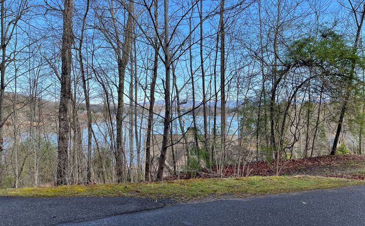 LT 14 Sutton Cove, Hiawassee