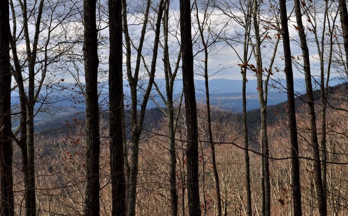 15 Wilderness Way, Ellijay