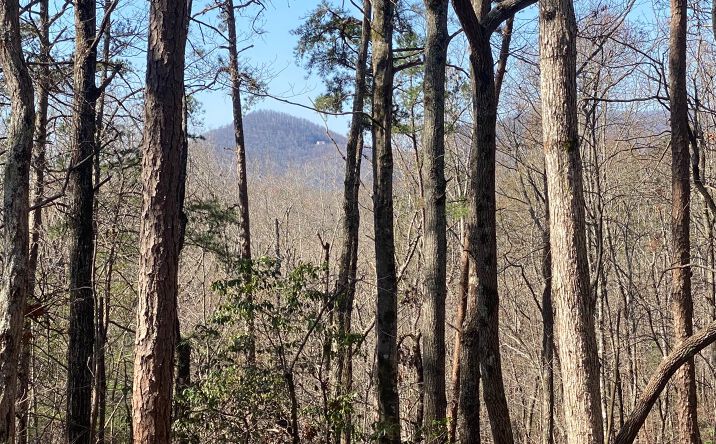 LOT19 Cohutta Overlook Trail, Blue Ridge