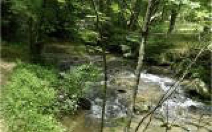 LT 27 Woodland Drive, Blue Ridge