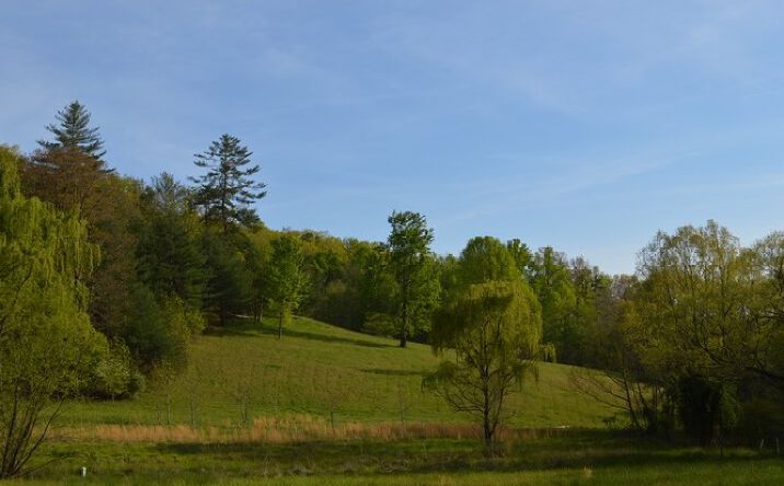 Southfield Rd-6acres, Brasstown