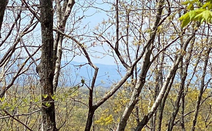 LOT 6 Eagle Top Lane, Morganton