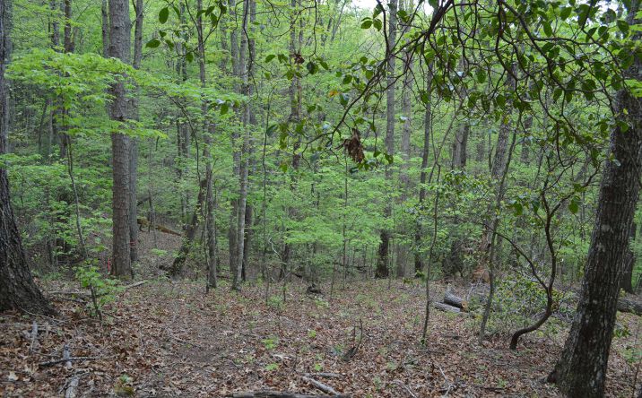 LOT 11 North Ridge Trail, Brasstown