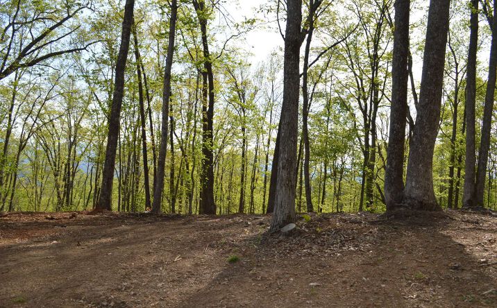 LT 23 North Ridge Trail, Brasstown