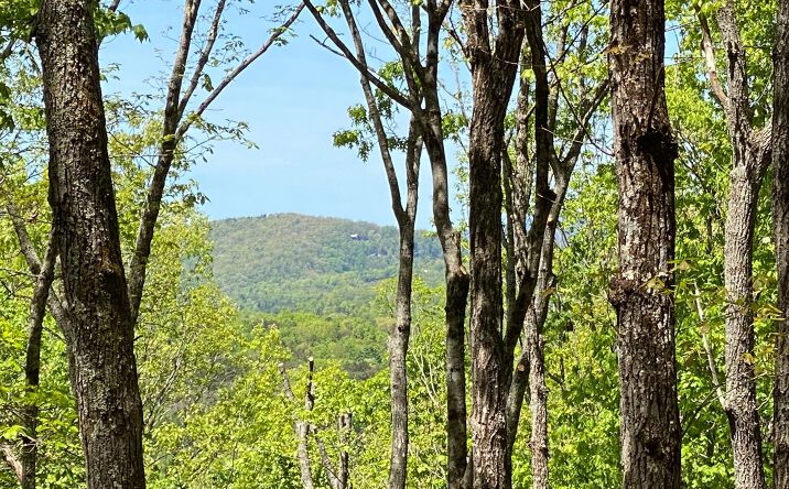 LOT11 Price Road, Blue Ridge