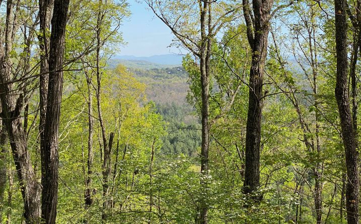 LOT Raven Ridge, Mineral Bluff