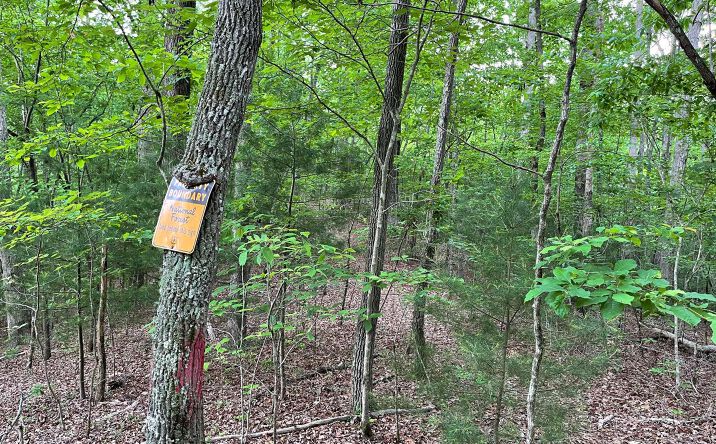 13 AC South Road, Morganton