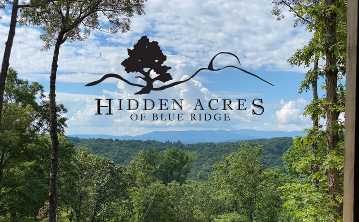 LT 2 Hidden Acres, Blue Ridge