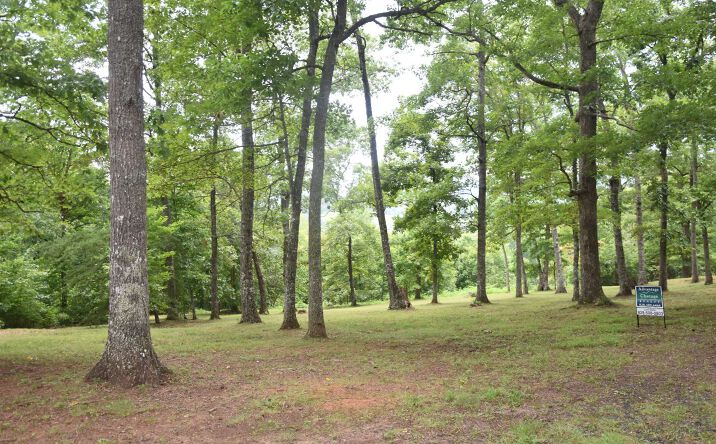 Drake Ridge Dr. Lt.9, Hayesville