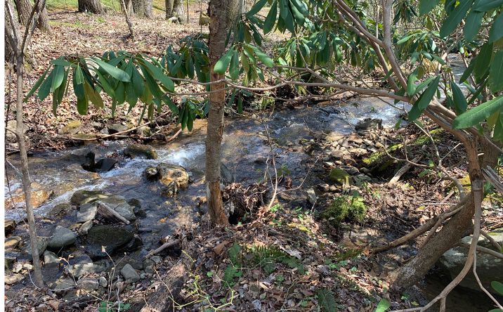 12ACS Off Jack Creek Rd, Hiawassee