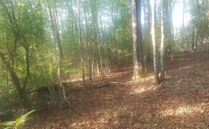 LOT 2 Bluebird Lane, Blue Ridge