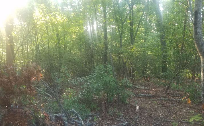 LOT 3 Bluebird Lane, Blue Ridge