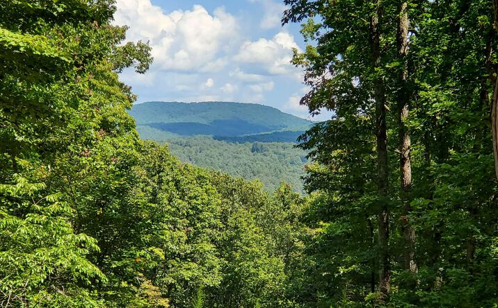 Richard's Branch 13+, Morganton