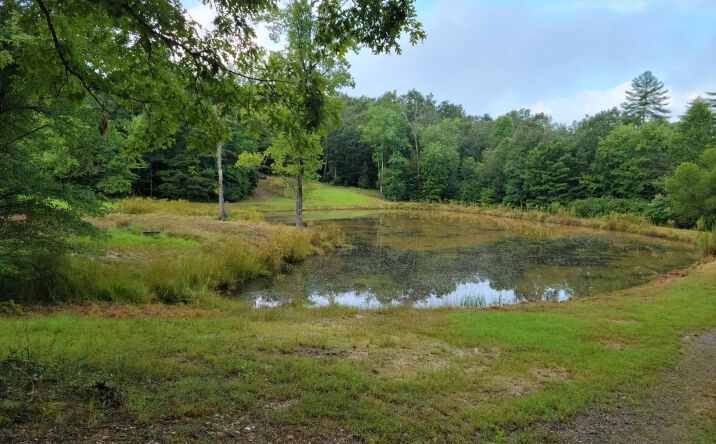 John Laurel Drive, Murphy