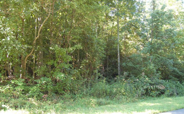 Lot 3 Ramey Mtn, Hiawassee