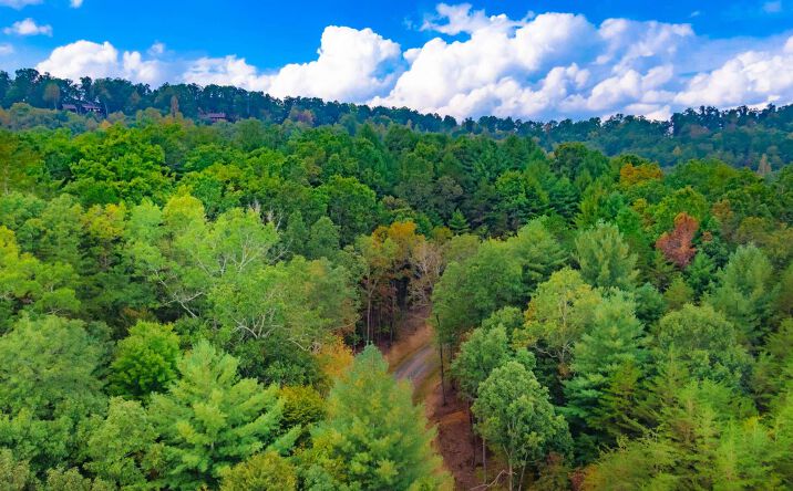 LT 5 Weaver Creek Estates, Blue Ridge