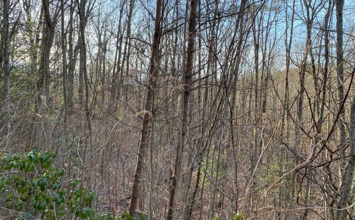 LOT14 Price Road, Blue Ridge