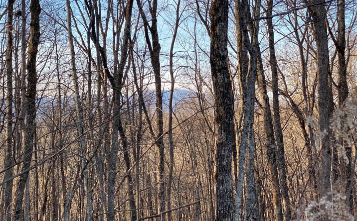 LOT9 Price Road, Blue Ridge