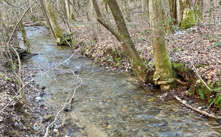 LT1 Mulberry Trail, Ellijay