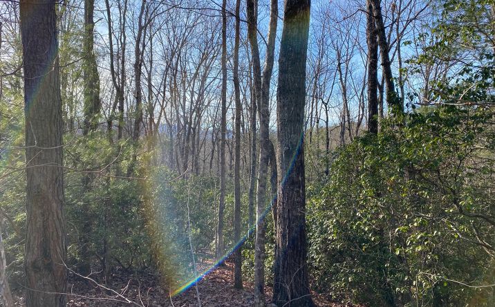 LOT15 Price Road, Blue Ridge