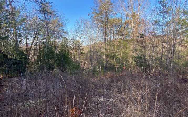 LOT23 Cohutta Overlook Trail, Blue Ridge