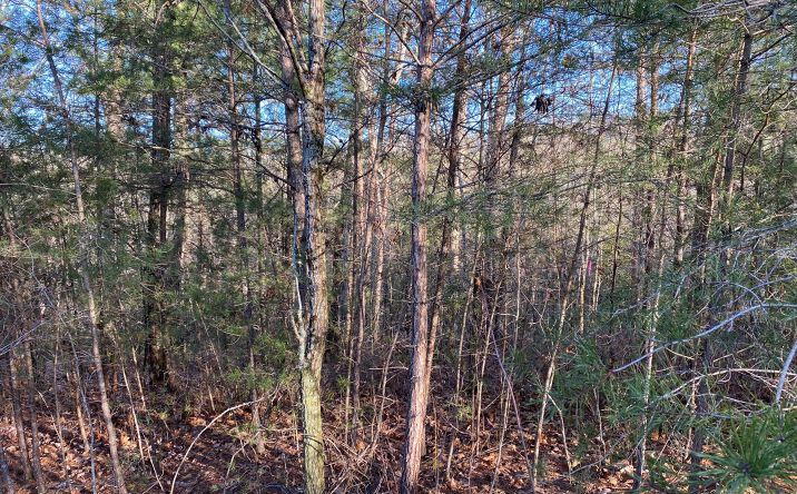 LOT27 Cohutta Overlook Trail, Blue Ridge