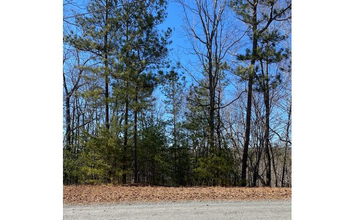 LT 45 Lake Forest Drive, Ellijay