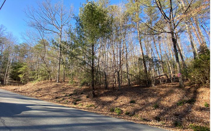 # 69 Mountain Tops Road, Blue Ridge