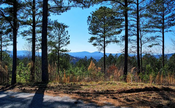 Mile High Ln Lot 14, Blairsville