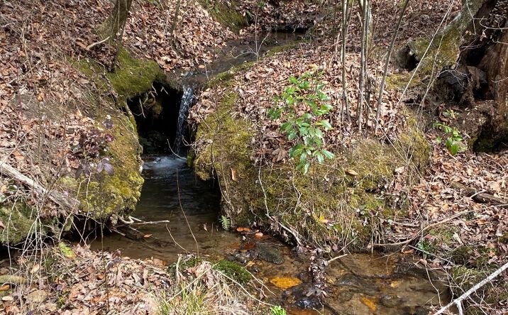 LOT1 Cohutta Overlook Trail, Blue Ridge
