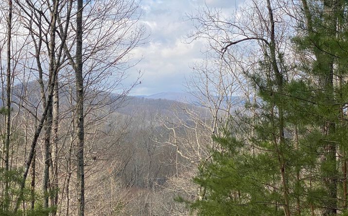 LOT7 Price Road, Blue Ridge