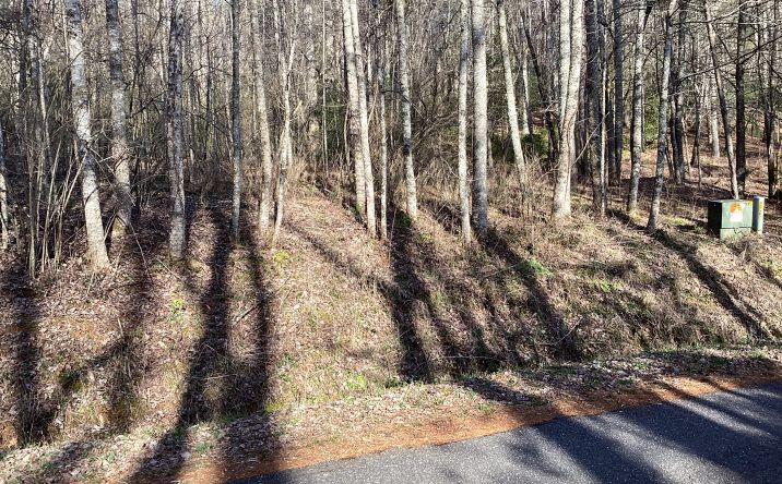 17 Hi River Road, Hiawassee
